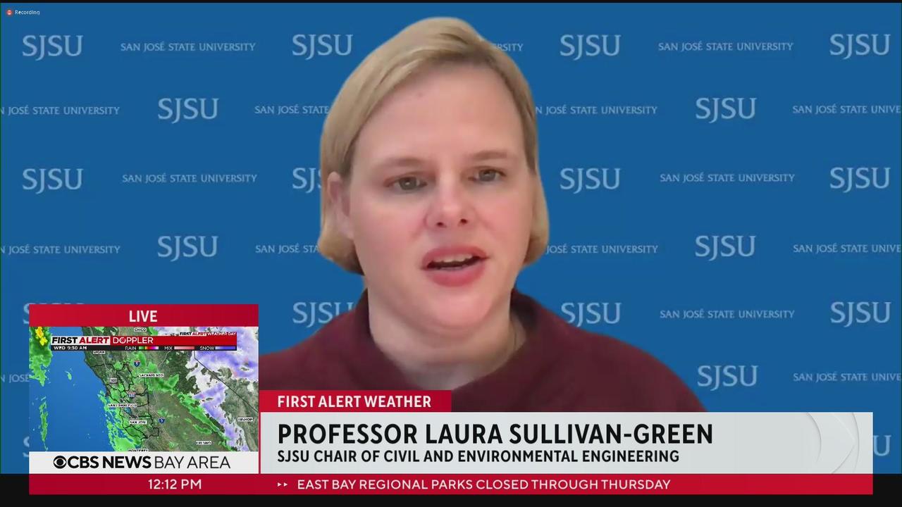 Prof. Laura Sullivan-Green