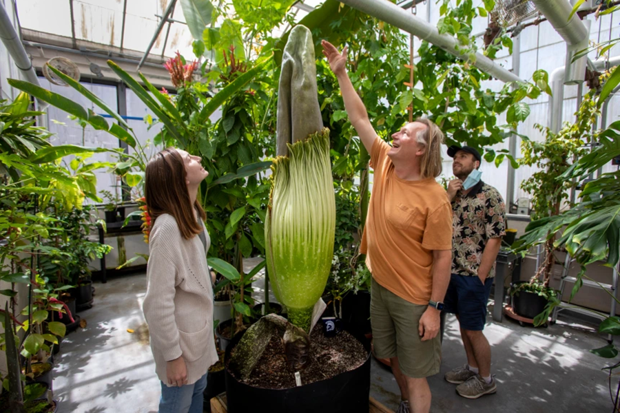 Lars Rosengreen and the corpse flower